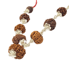 Navgrah Rudraksha Kawach - Himalaya Rudraksha Anusandhan Kendra