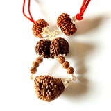 Rudraksha Kawach For Meditation - Himalaya Rudraksha Anusandhan Kendra