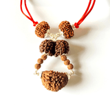 Rudraksha Kawach For Meditation - Himalaya Rudraksha Anusandhan Kendra