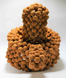 Rudraksha Shivling - Himalaya Rudraksha Anusandhan Kendra
