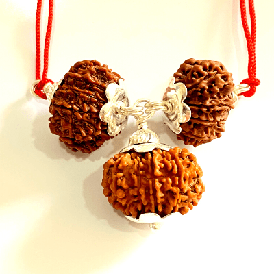 Sarv Shakti Rudraksha Kawach - Himalaya Rudraksha Anusandhan Kendra