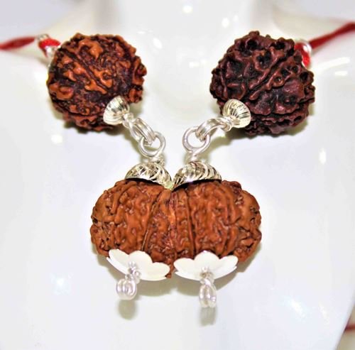 Shiva Parivar Kawach - Himalaya Rudraksha Anusandhan Kendra