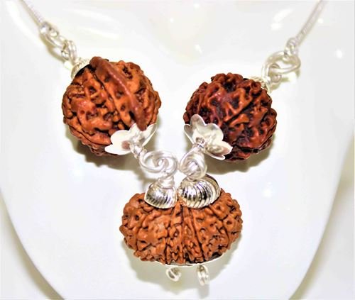 Shiva Parivar Kawach - Himalaya Rudraksha Anusandhan Kendra