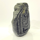 Tirupati Balaji Carved Shaligram (566 gms) - Himalaya Rudraksha Anusandhan Kendra