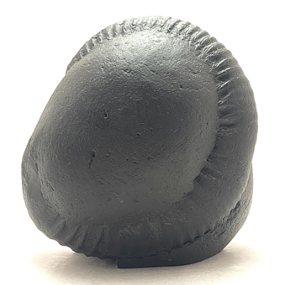 Tirupati Balaji Carved Shaligram (574 gms) - Himalaya Rudraksha Anusandhan Kendra