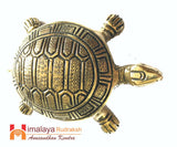Vastu Turtle(kacchua) - Himalaya Rudraksha Anusandhan Kendra