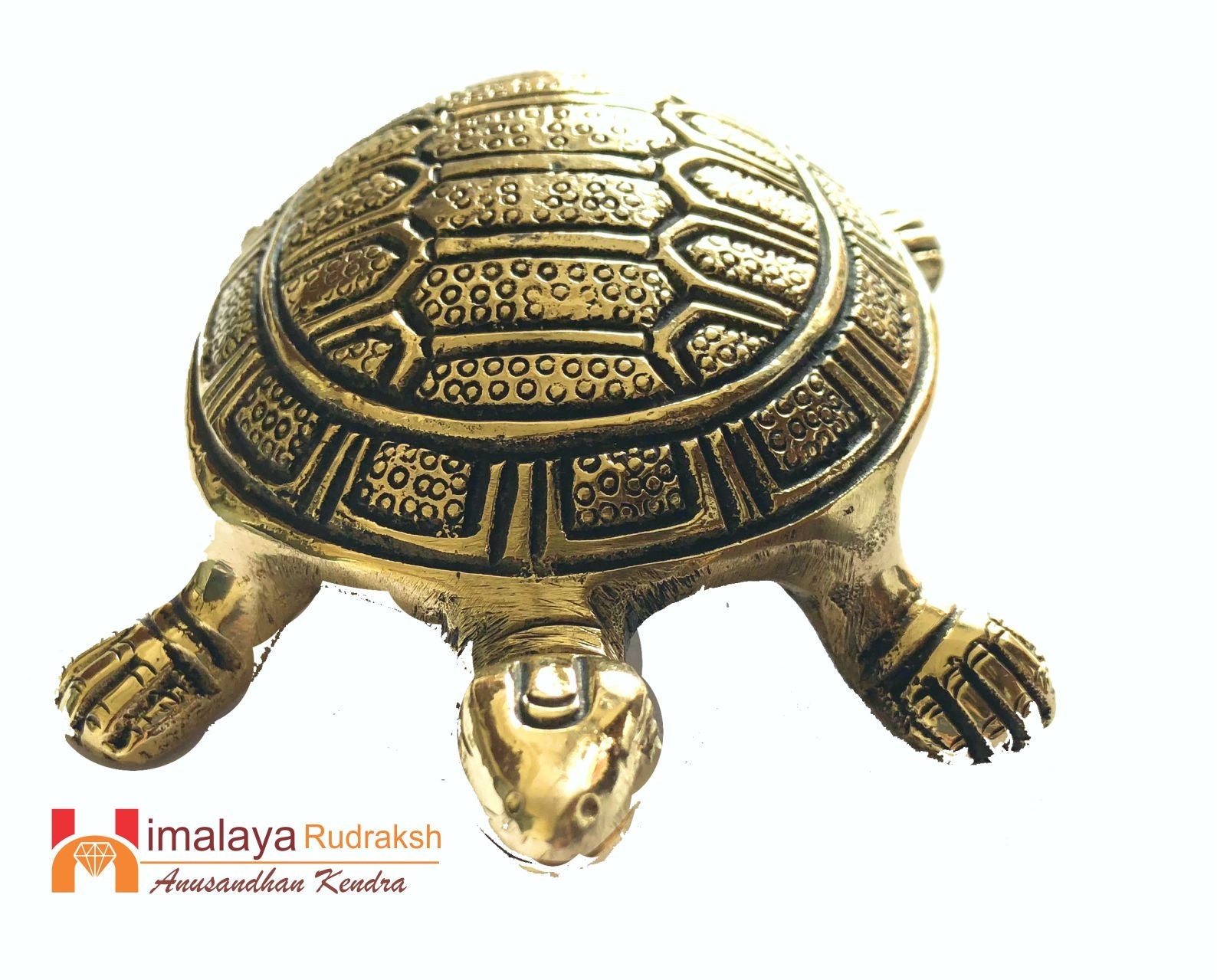 Vastu Turtle(kacchua) - Himalaya Rudraksha Anusandhan Kendra