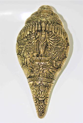 Vishnu Shankh - Himalaya Rudraksha Anusandhan Kendra