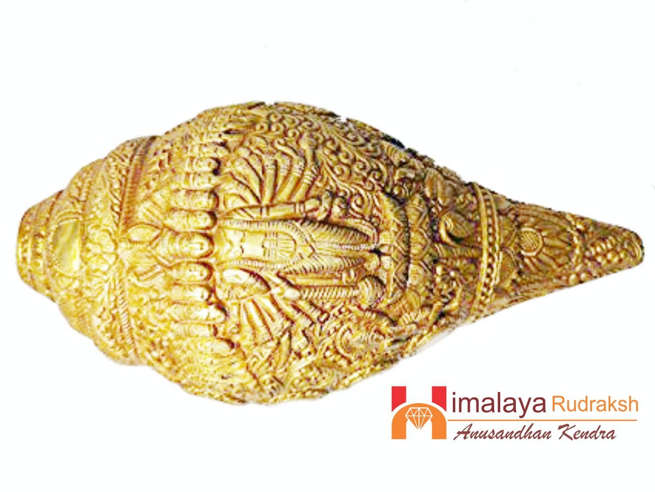 Vishnu Shankh - Himalaya Rudraksha Anusandhan Kendra