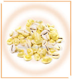 Yellow Kauwdi & Gomti chakra (22 pieces set) - Himalaya Rudraksha Anusandhan Kendra